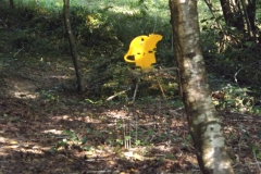 DSCF2360