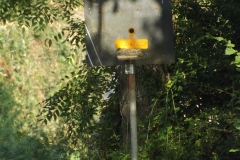DSCF2373
