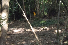 DSCF2378